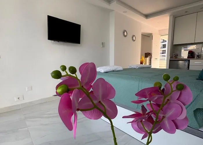 Ocean Glimpse- Americas